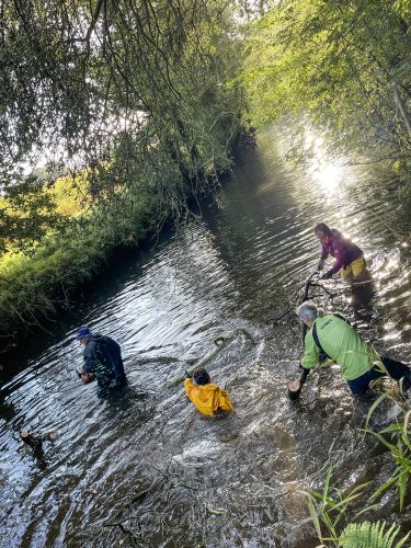 2023-10 Débranchage - Stangala