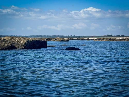 2024-05-Adlultes-Mer-Blanche-a-Mousterlin-19