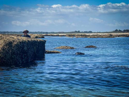 2024-05-Adlultes-Mer-Blanche-a-Mousterlin-22