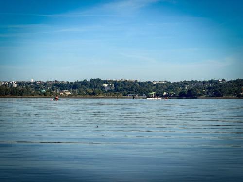 IMG 7096