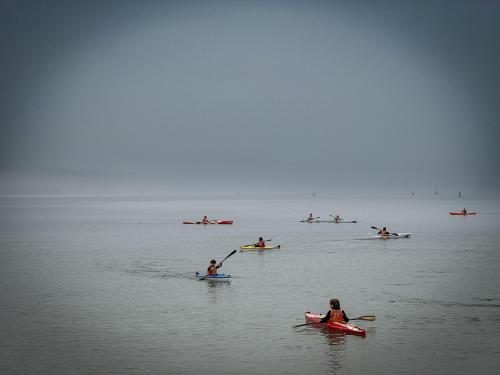 IMG 8093