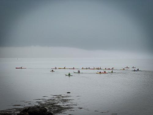 IMG 8109