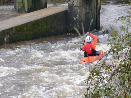 Photo-Resizer-2025 03 30 07 13 15-9