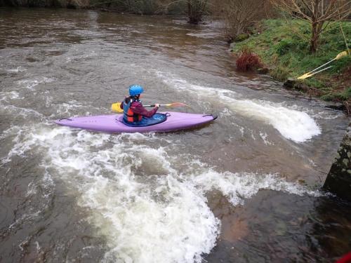 IMG-20250111-WA0015