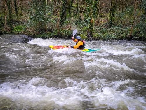 IMG-20250201-WA0017