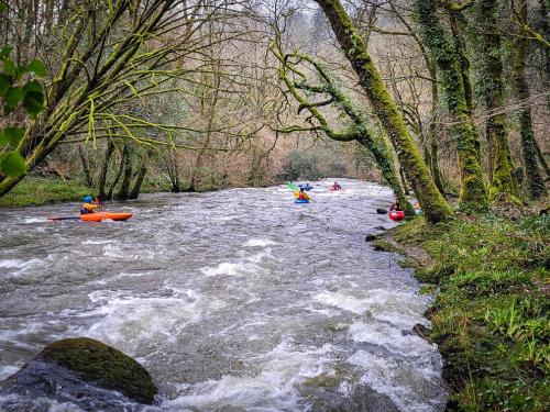 IMG-20250201-WA0020
