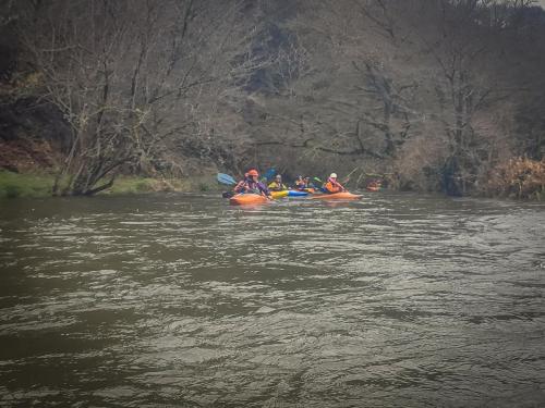 IMG 20250201 141927