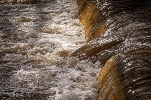 Photo-Resizer-2025 03 30 07 29 56-43