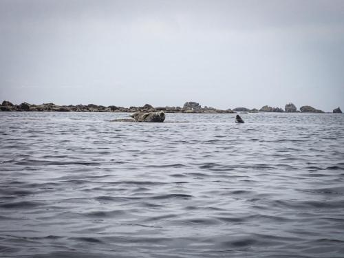 IMG 0322
