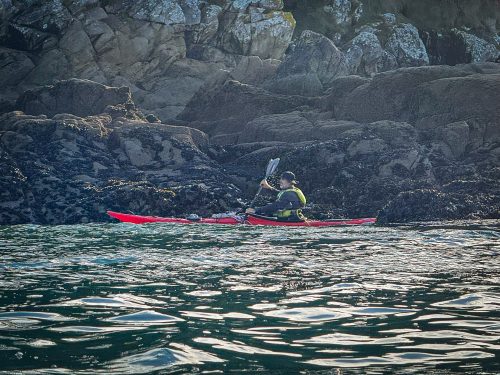 2025-11-08-Sortie-Adultes-Douarnenez-11