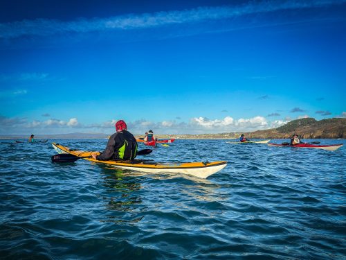 2025-11-08-Sortie-Adultes-Douarnenez-4