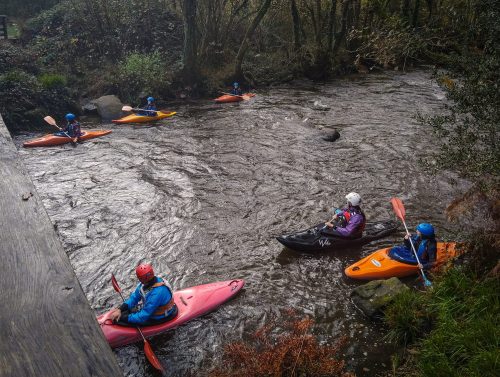 IMG 20251115 103044523