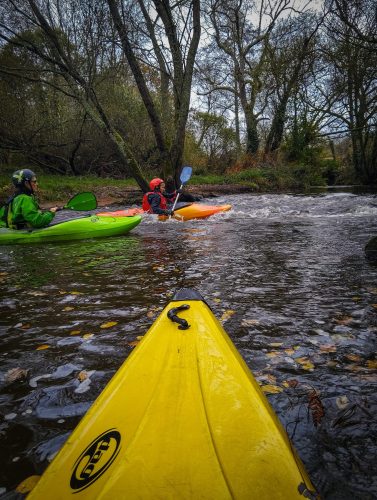 IMG 20251115 113421970