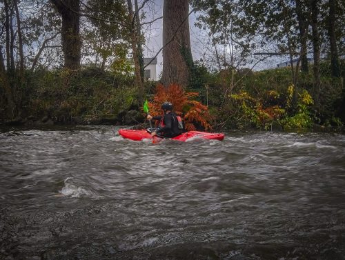 IMG 20251115 152348408