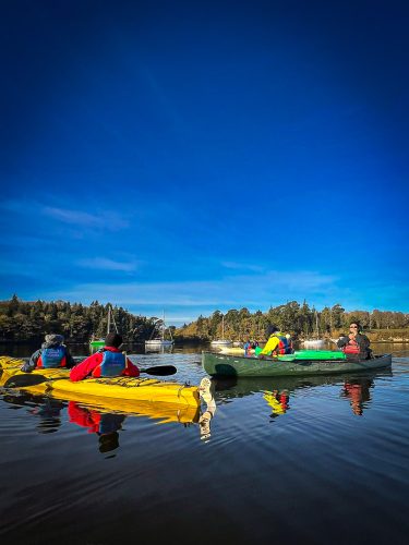 2025-11-26-Sortie-du-Sport-Sante-sur-lOdet-23