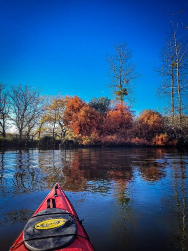 2025-12-03-Sport-Sante-4