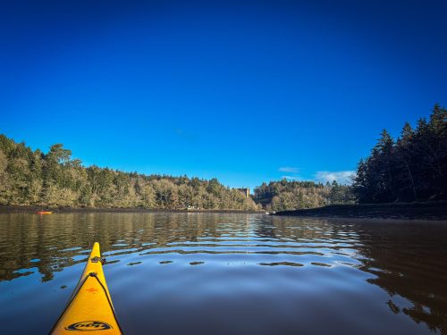 2026-01-17-Sortie-du-matin-sur-lOdet-1