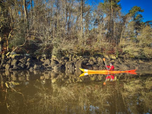 2026-01-17 Sortie du matin sur l'Odet