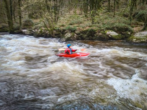 2026-02-25-Stage-departemental-de-fevrier-17