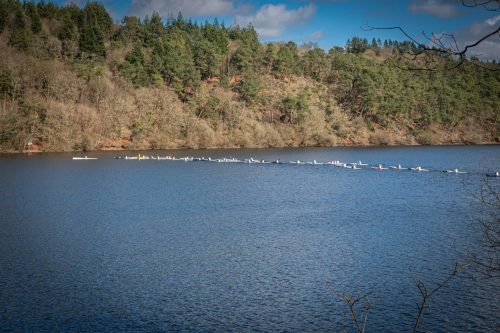 2026-02-28-Ocean-racing-Guerledan-top-8