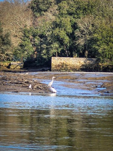 2026-02-04-Sport-Sante-19