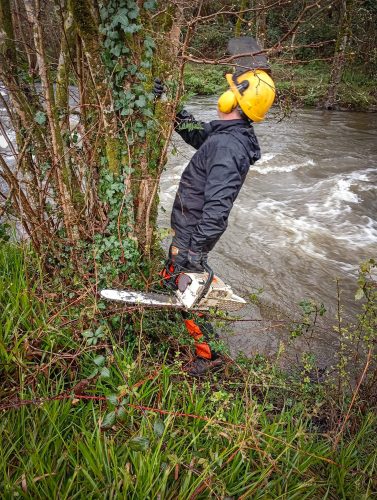 2026-03-13-CCKQC-Debranchage-du-Stangala-15