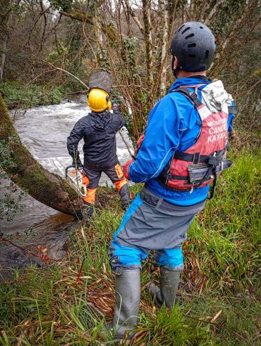 2026-03-13-CCKQC-Debranchage-du-Stangala-17