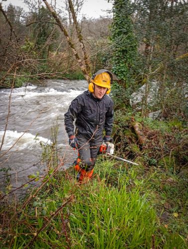 2026-03-13-CCKQC-Debranchage-du-Stangala-18