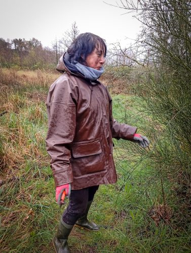 2026-03-13-CCKQC-Debranchage-du-Stangala-20