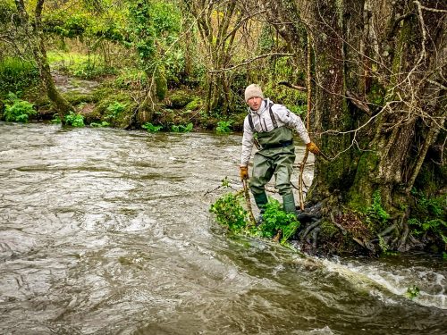 2026-03-14-CCKQC-Debranchage-du-Stangala-01