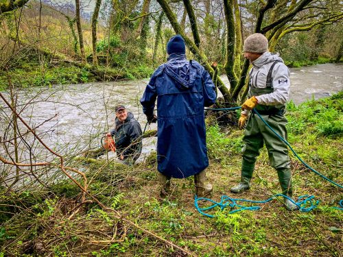 2026-03-14-CCKQC-Debranchage-du-Stangala-02