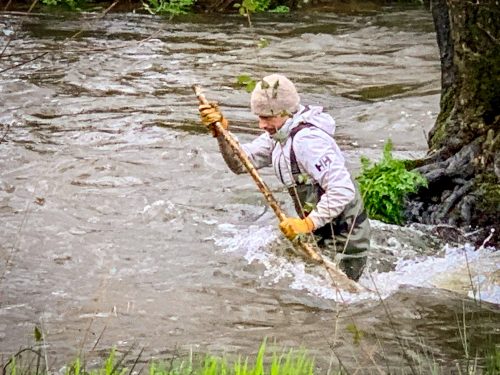 2026-03-14-CCKQC-Debranchage-du-Stangala-11