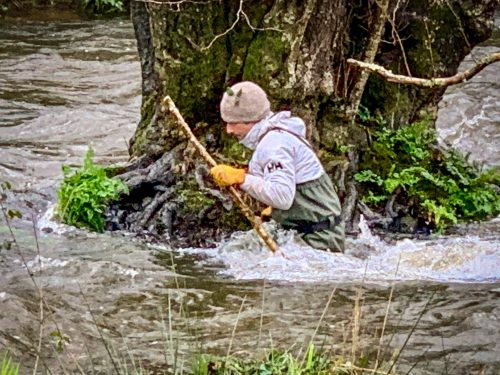 2026-03-14-CCKQC-Debranchage-du-Stangala-12