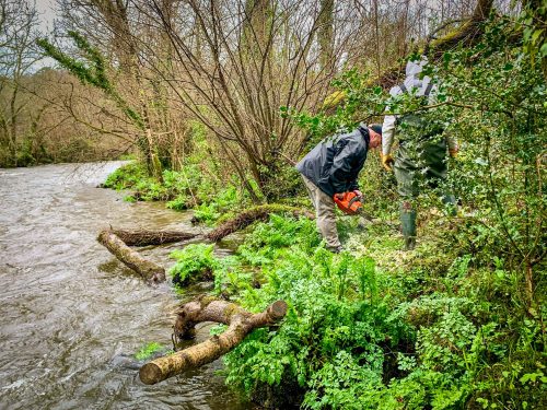 2026-03-14-CCKQC-Debranchage-du-Stangala-13