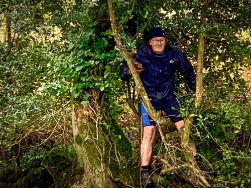 2026-03-14-CCKQC-Debranchage-du-Stangala-14