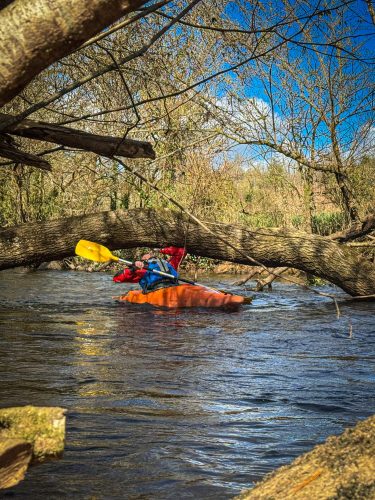 2026-03-28-CCKQC-La-carriere-avec-les-adultes-0009