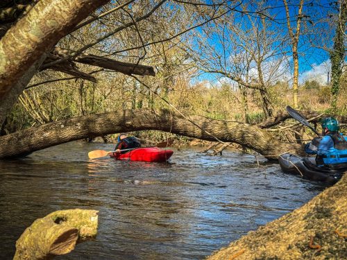2026-03-28-CCKQC-La-carriere-avec-les-adultes-0011