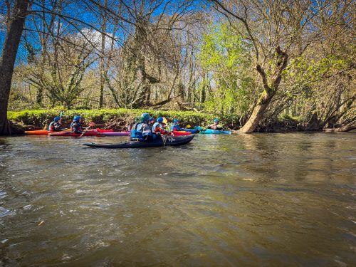 2026-03-28-CCKQC-La-carriere-avec-les-adultes-0039