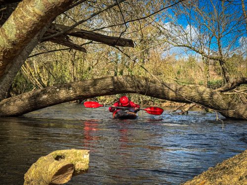 2026-03-28-CCKQC-La-carriere-avec-les-adultes-0040