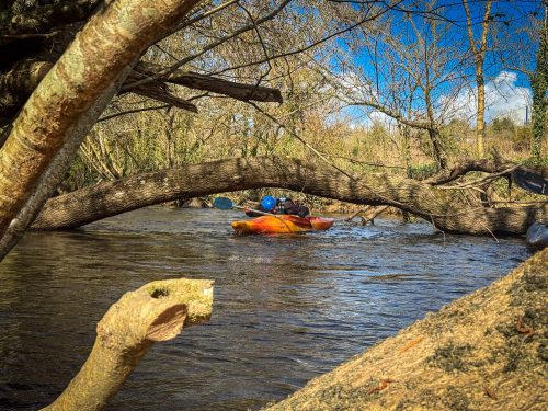 2026-03-28-CCKQC-La-carriere-avec-les-adultes-0041