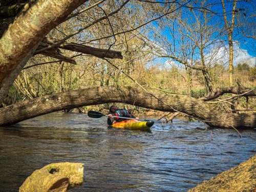 2026-03-28-CCKQC-La-carriere-avec-les-adultes-0042