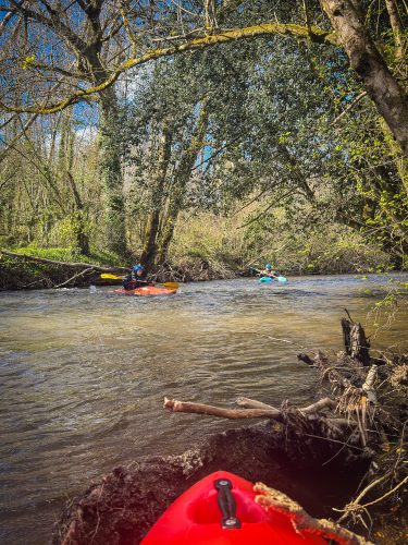 2026-03-28-CCKQC-La-carriere-avec-les-adultes-0046