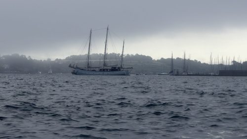 IMG 7006