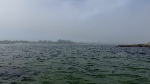 IMG 7008
