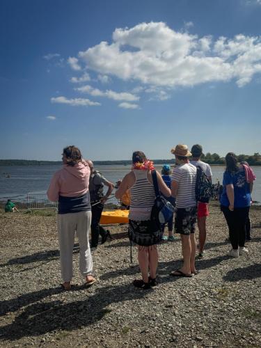 2024-06-08-DO2024-335